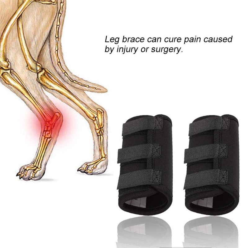 Zerodis Pet Fracture Splint Dog Front and Rear Leg Knee