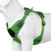 Plutus Pet No Pull Dog Harness, Release at Neck, Soft