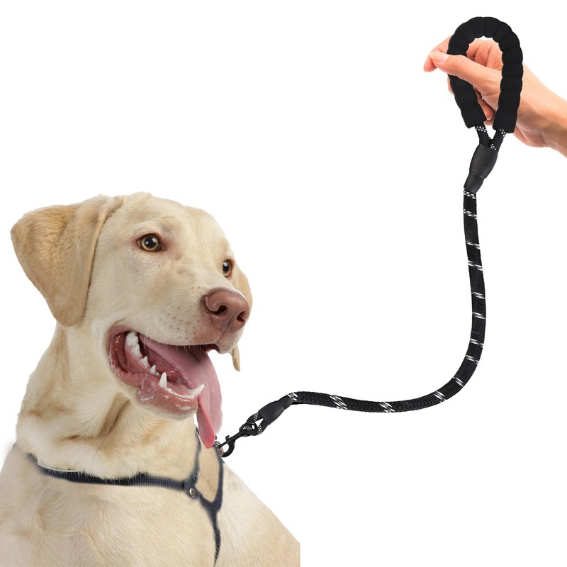 SunGrow Nylon Dog Leash, Pet Training Tool with Padded Handle