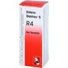 Entero-Gastreu S R4 Mixture 50 ml