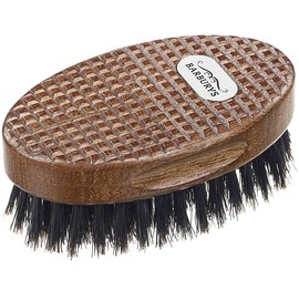 Brush of Palme Barburys Ray