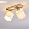 Alsen Light Series Ceiling Light in Various Designs