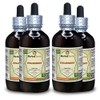 Strawberry (Fragaria vesca) Tincture, Organic Dried Leaves Liquid Extract (Brand