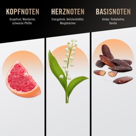 bruno banani Absolut Man Shower Gel 250 ml, 2024 Version