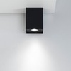 EDO PALLAD 1 Black GU10 Surface-Mounted Spotlight Aluminium Ceiling Light