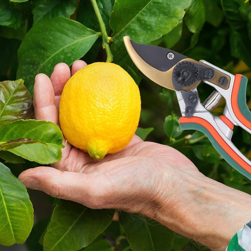 Pruning Shears 8 Inch SK5 Alloy Steel Incisive Gardening Tools