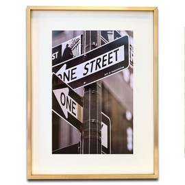 TheDisplayGuys - Contemporary Aluminum Picture Frame - Tempered Glass - 18x24 matted to 12x18 - Gold - Wall Hanging