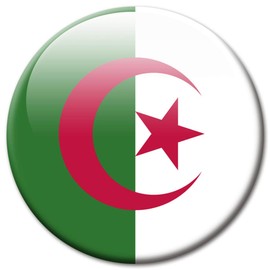 ALGERIA FLAGS FRIDGE MAGNET COUNTRIES TRAVEL SOUVENIR FLAG FOR FRIDGE STRONG