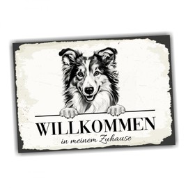 siviwonder Dog Sign Welcome Home Sheltie Shetland Sheepdog No.1 Dog Sign Saying Door Sign Warning Sign Gift Idea Beautiful Saying Dog Motif Aluminium Weatherproof Dog Sign