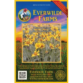 Everwilde Farms - 1 Oz Arrowleaf Balsamroot Native Wildflower Seeds - Gold Vault