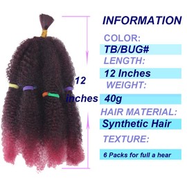 Afro Kinky Hair 12 Inch 6 Packs Pre Stretched Afro Kinky Twist Hair Afro Braiding Hair Kinky Twist Crochet Braids Synthetic Hair Extensions For Women (TB/BUG#, 12 Inch (Pack of 6))