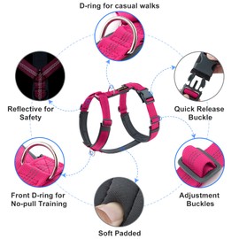 Plutus Pet No Pull Dog Harness, Adjustable Nylon Harness with Soft Padding, Reflective and Heavy Duty Dog Harness for Small, Medium, Large Dogs(Hot Pink, S)