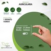 Fairvital Auricularia 500 mg – 90 Capsules – 500 mg