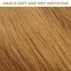Lion Mane Wig for Dog Costume with Ears Pet Adjustable