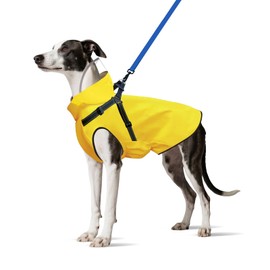 Dog Raincoat, Rain Jacket with Reflective Harness and Removable Clear Hood, Breathable Dogs Rain Coat Poncho, Lightweight Water Proof Clothes for Small Medium Large Dogs Puppies (Yellow) (Large)