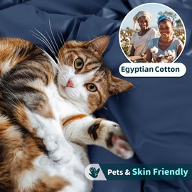 LBRO2M 100% Cotton 1200 Thread Count Queen Size Sheets Set,16 inches Deep Pocket,Bed Sheet 4 Piece Sets (Navy Blue, Queen)