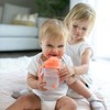Dr. Brown’s Milestones Baby’s First Straw Cup, Training Cup with
