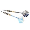 6Pcs Darts Professional Exquisite Stainless Steel Tip Darts Set with