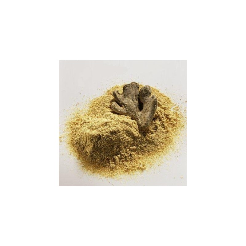 EliteKoopers 25g Organic Fresh Natural Ginger Ground Powder For Whole