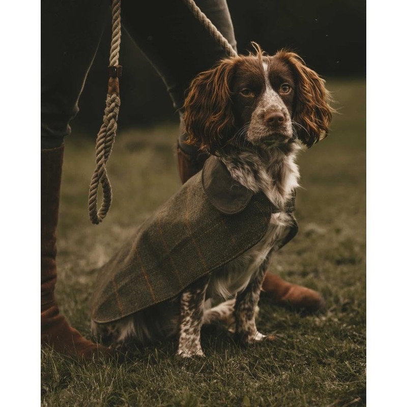 WALKER AND HAWKES - Derby Tweed Alfie Dog Coat -