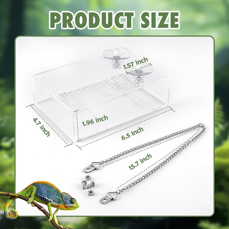 Swirge Chameleon Feeder Box with Suction Cups, Acrylic Feeding Bowl