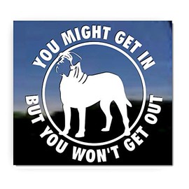 You Might Get in, But You Won't Get Out English Mastiff Guard Dog Vinyl Window Auto Decal Sticker