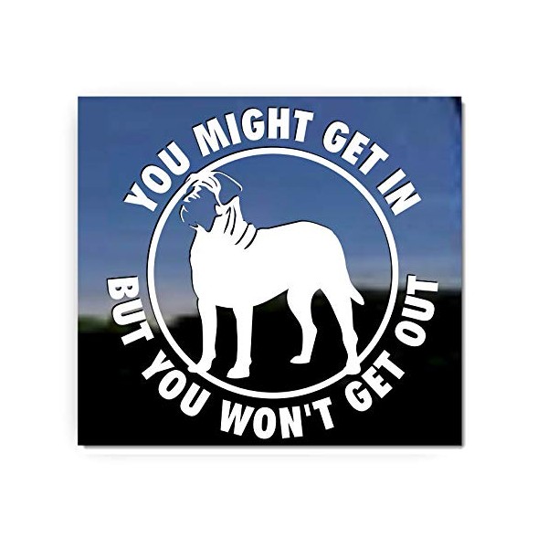 You Might Get in, But You Won't Get Out English