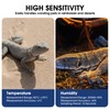 teasteam Digital Thermometer Hygrometer 3 Pack Mini Humidity Meter Reptile