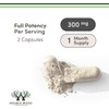 Boric Acid Suppositories (600mg Vaginal Suppository, 60 Count) Supports Vaginal
