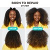 Carol's Daughter Carol's Daughter Born To Repair Leave In Hair