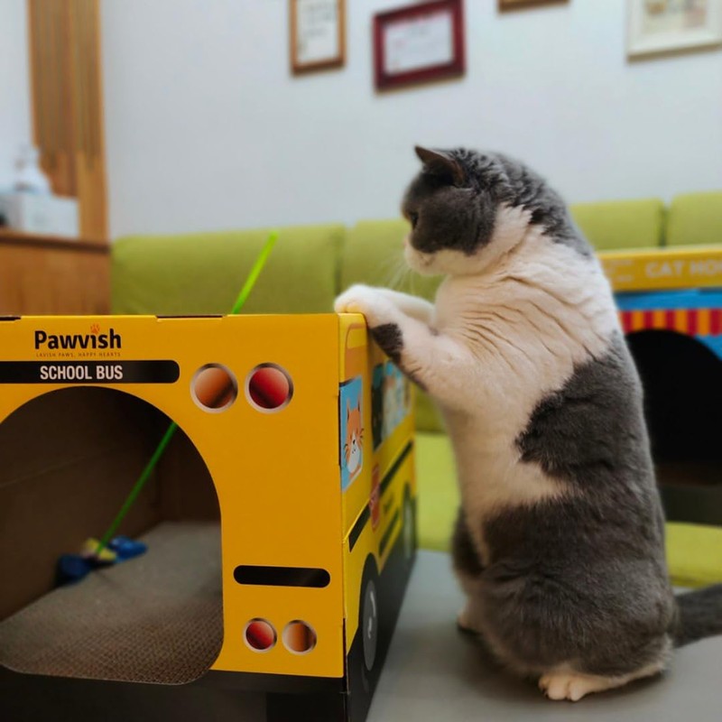 PAWVISH School Bus Cardboard Cat House and Scratcher, Play House,