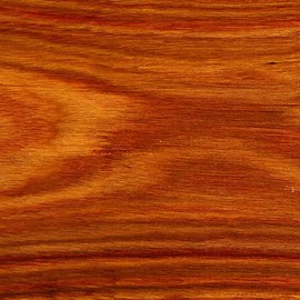 Woodcraft Canarywood 3/8" X 3" X 24" 1-Piece