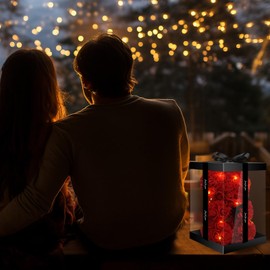 Otlonpe Otlonpe Bear Rose Valentines Day Gifts for Her, 9 inch Flower Bear with Led Light, Birthday Gifts for Women Wife Girlfriend Mom, Gifts for Valentine's Day Anniversary Womens Day Mothers Day (Red)