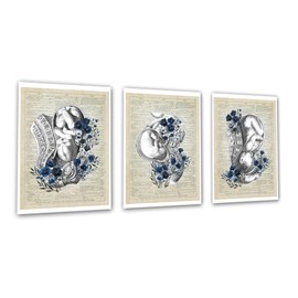 Gnosis Picture Archive Obstetrics OBGYN Medical Wall Art, Fetal Development Art Prints with Blue Flowers, Set of 3 Unframed, Vintage Dictionary Background