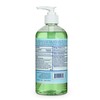 Clorox Antibacterial Liquid Hand Soap with Pump, Soothing Aloe Scent
