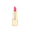 Caracosa Gold Lipstick No. 550 / 카라코사 골드 립스틱 550호