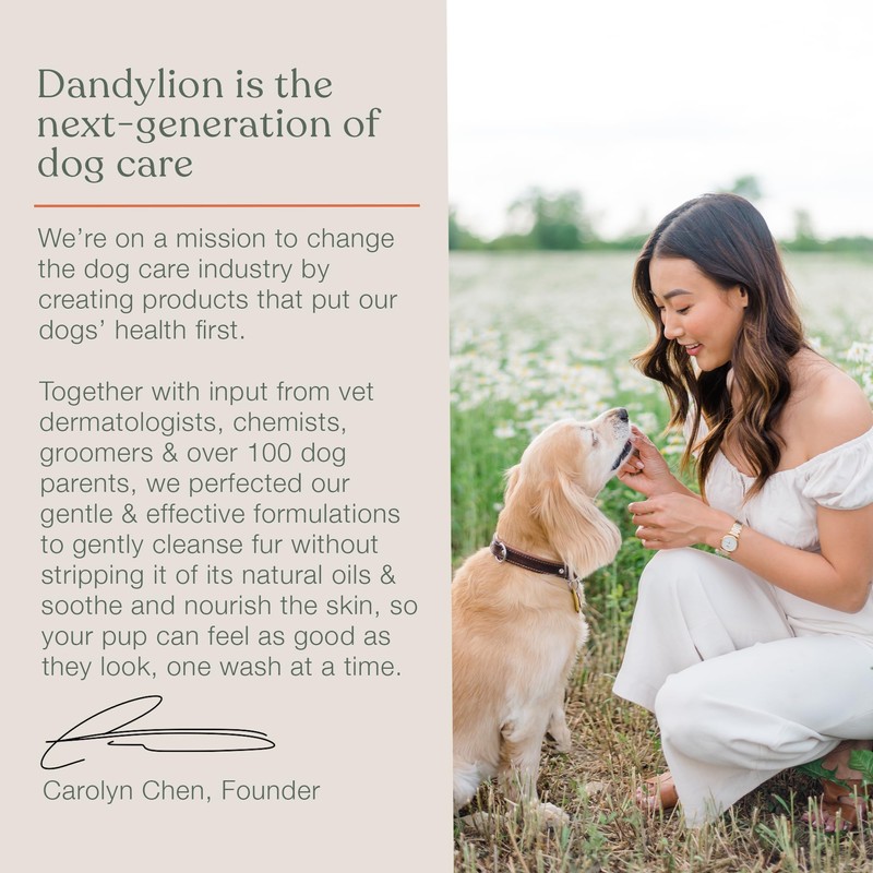 Dandylion Soft Paws | Paw Lotion with Brush | Dog