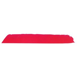 Trueflight Right Wing Full Length Feathers 100 Pack - Red