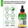 Milk Thistle for Dogs | Dog Liver Supplement for All