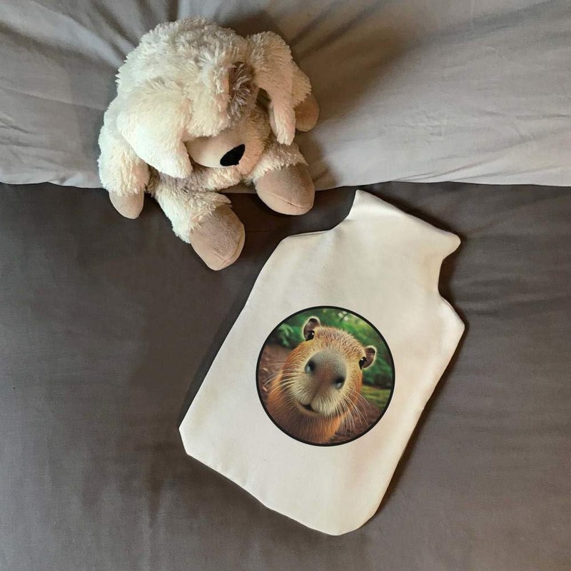'Smiling Capybara' Hot Water Bottle Cover (HW00039609)