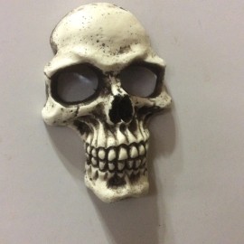 BawdyPartz Skull Refrigerator Magnet Tool Box Mac Snap On Chraftsman Punk Goth USA Made  2M