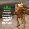 Greenies Veterinarian-Recommended Adult Natural Dental Dog Treats Regular Size, Original