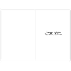 B5818 Box Set of 12 Face On Funny Christmas Paper Cards with Envelopes