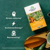 ORGANIC INDIA Calming Tulsi Ashwagandha Herbal Tea - Holy Basil