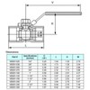 3/4" Stainless Steel (316) Ball Valve - 1pc Standard Port