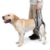 MeiAOBest Dog Lifting Harness,Dog Hind Legs Support Strap Pet Portable