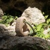 YY Vertical Mono One Finger Climbing Tool Wooden Waist Unique