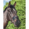 LeMieux Horse Comfort Shield Nose Filter in Black - Fine
