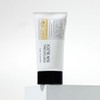 Logical Skin 로지컬리스킨 프로페셔널 선블록 70g Logicalis Skin Professional Sun