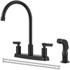GBBNE Kitchen Faucet with Sprayer 2 Handle Kitchen Sink Faucets